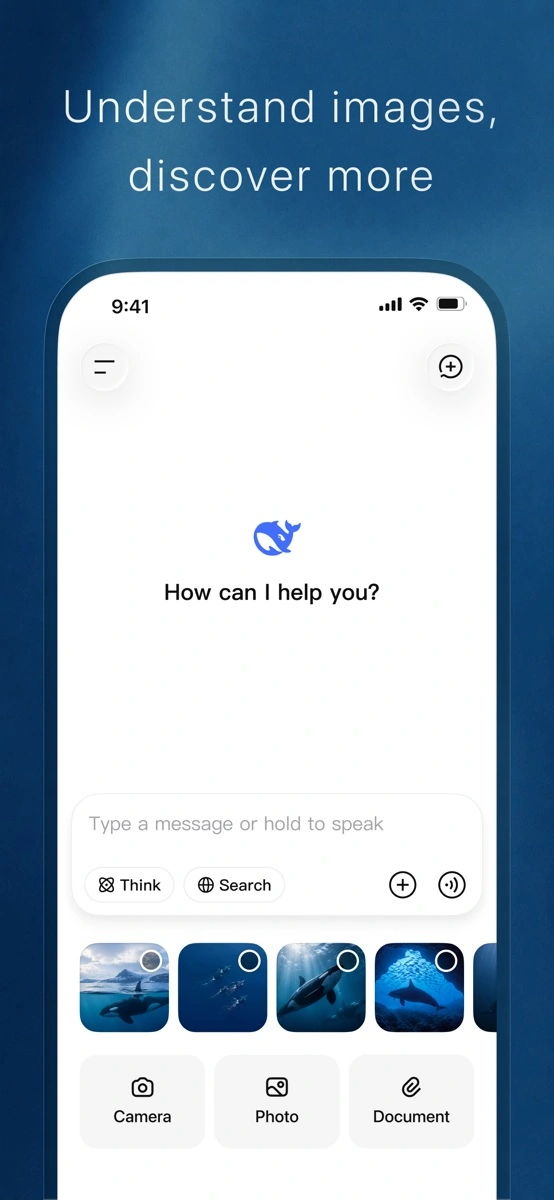 DeepSeek 官方 iOS 应用的图片与附件入口展示;本条目录指向网页服务,画面不是网页版操作截图。
